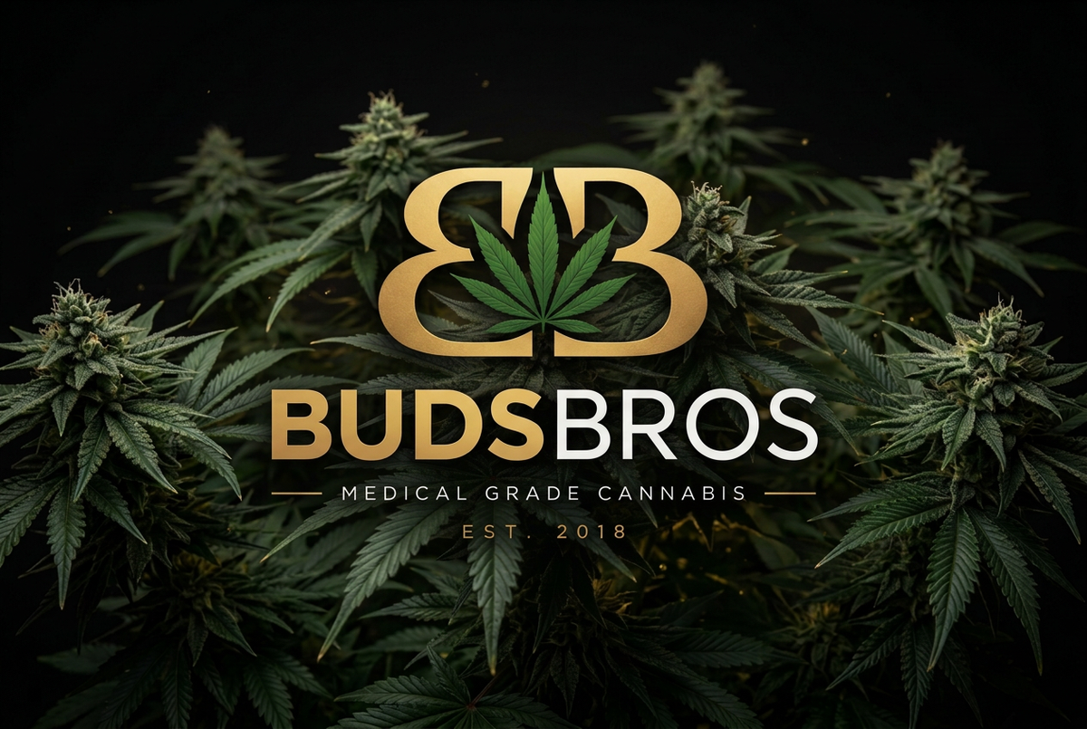 BudsBros Hero Cover with Logo